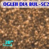 OGLEII DIA BUL-SC21   4618