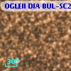 OGLEII DIA BUL-SC21   4623