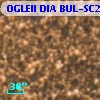 OGLEII DIA BUL-SC21   4646