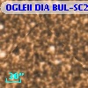 OGLEII DIA BUL-SC21   4653