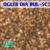 OGLEII DIA BUL-SC21   4730