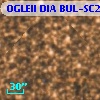 OGLEII DIA BUL-SC21   4797