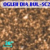 OGLEII DIA BUL-SC21   4829