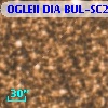 OGLEII DIA BUL-SC21   4892
