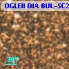 OGLEII DIA BUL-SC21   4897