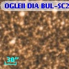OGLEII DIA BUL-SC21   4944