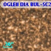 OGLEII DIA BUL-SC21   5223