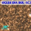 OGLEII DIA BUL-SC21   5325