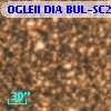 OGLEII DIA BUL-SC21   5372