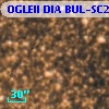 OGLEII DIA BUL-SC21   5410