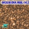 OGLEII DIA BUL-SC21   5492