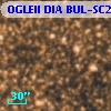 OGLEII DIA BUL-SC21   5527
