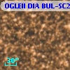 OGLEII DIA BUL-SC21   5736