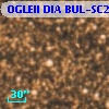 OGLEII DIA BUL-SC21   5796