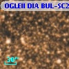 OGLEII DIA BUL-SC21   5933
