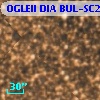 OGLEII DIA BUL-SC21   6082