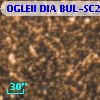 OGLEII DIA BUL-SC21   6241