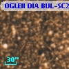 OGLEII DIA BUL-SC21   6413