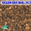 OGLEII DIA BUL-SC21   6498