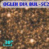 OGLEII DIA BUL-SC21   6731
