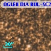 OGLEII DIA BUL-SC21   6884