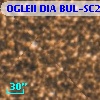 OGLEII DIA BUL-SC21   7268
