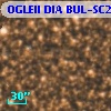OGLEII DIA BUL-SC21   7299