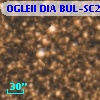 OGLEII DIA BUL-SC21   7324