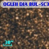 OGLEII DIA BUL-SC30     76