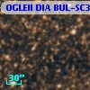 OGLEII DIA BUL-SC30    209