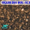 OGLEII DIA BUL-SC30    501