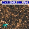 OGLEII DIA BUL-SC30    551