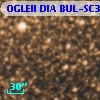 OGLEII DIA BUL-SC30    572