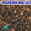OGLEII DIA BUL-SC30    631