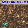 OGLEII DIA BUL-SC30    689