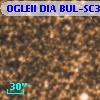 OGLEII DIA BUL-SC30    896