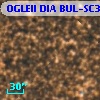 OGLEII DIA BUL-SC30   1005