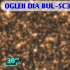 OGLEII DIA BUL-SC30   1133