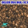 OGLEII DIA BUL-SC30   1297