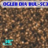 OGLEII DIA BUL-SC30   1389