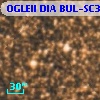 OGLEII DIA BUL-SC30   1444