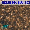OGLEII DIA BUL-SC30   1508