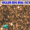 OGLEII DIA BUL-SC30   1557