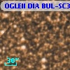 OGLEII DIA BUL-SC30   2003