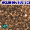 OGLEII DIA BUL-SC30   2069