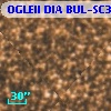 OGLEII DIA BUL-SC30   2259