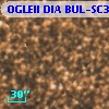 OGLEII DIA BUL-SC30   2260