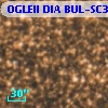 OGLEII DIA BUL-SC30   2261
