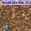 OGLEII DIA BUL-SC30   2504