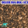 OGLEII DIA BUL-SC30   2749